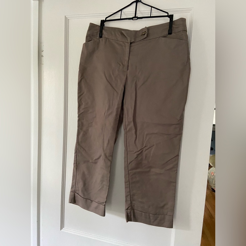 Loft Capri Pants - image 1